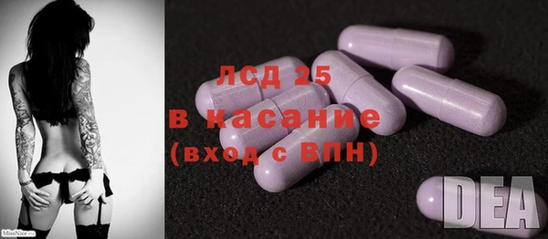 PSILOCYBIN Гусиноозёрск